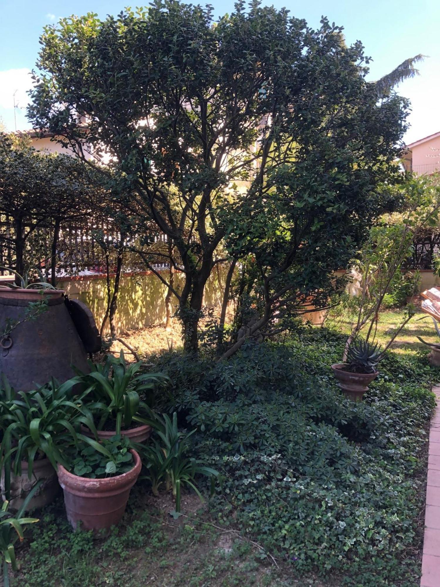 La Villa Bianca - Appartamento In Villa セスト・フィオレンティーノ エクステリア 写真